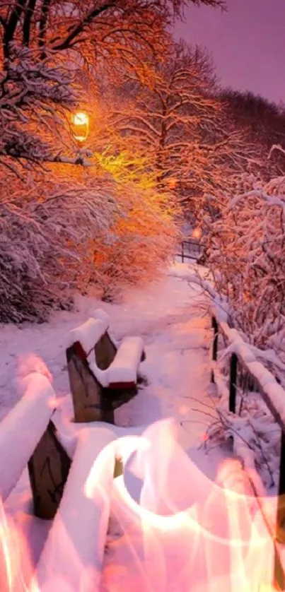 Snowy park path at night with warm streetlight glow.