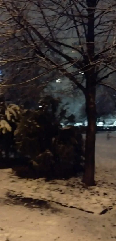 Snowy park at night with tree and streetlight glow.