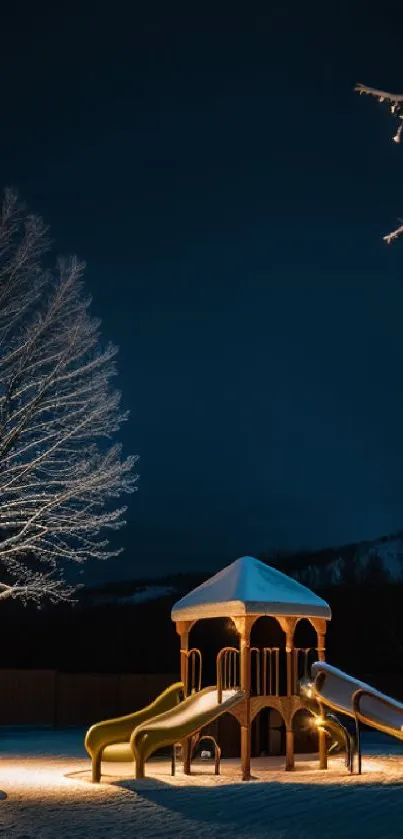 Serene snowy playground under a dark night sky.