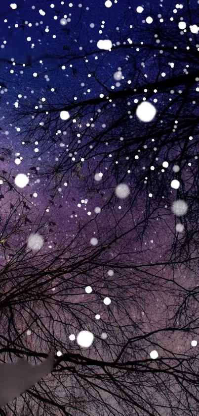 Snow falling on a starry winter night with silhouetted trees.