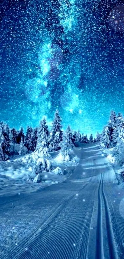 Snow-covered path under a stunning blue night sky.