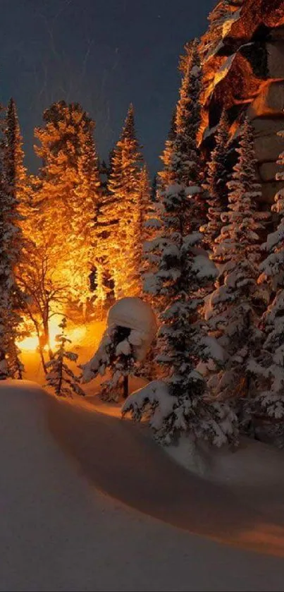 Snowy forest at night with a golden glow.