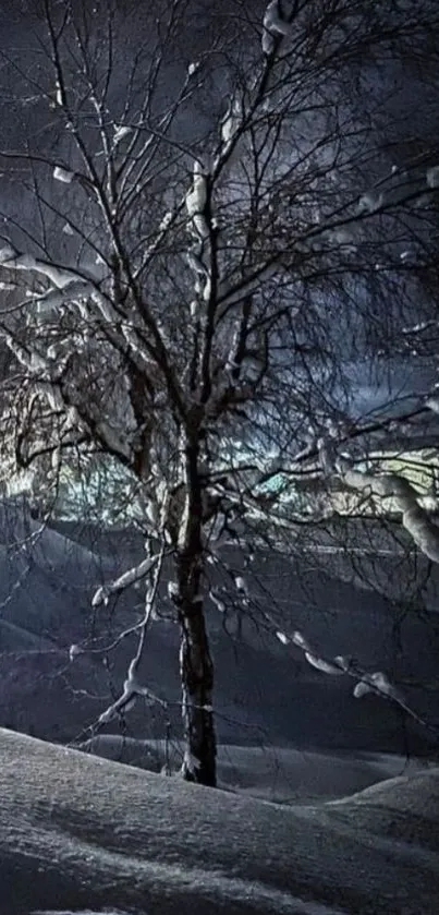 Snowy tree in moonlit winter night with dark blue sky.