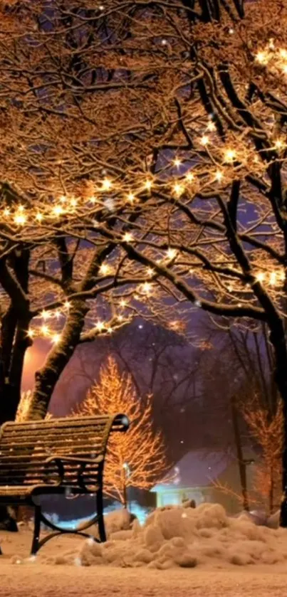 Snow-covered bench and trees adorned with string lights on a winter night.