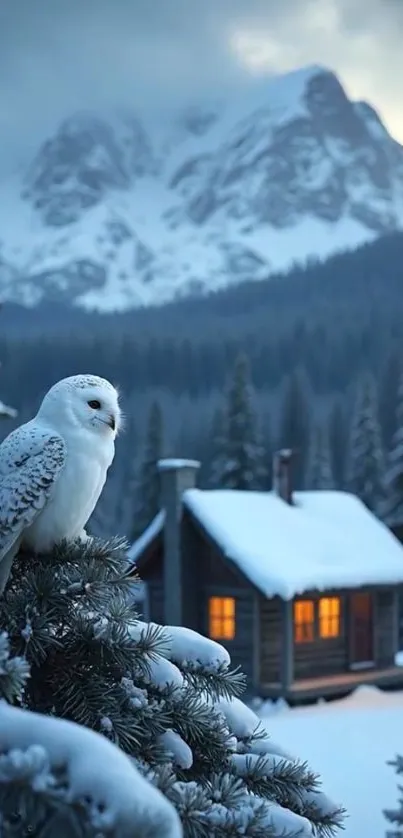 Snowy owl perched in snowy mountain forest near a cabin at dusk.
