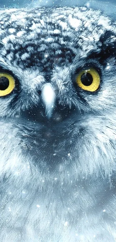 Snow-covered owl in a winter scene, vivid yellow eyes.