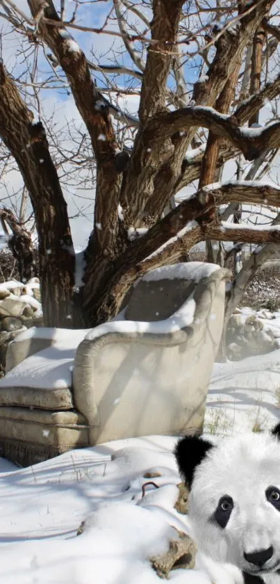 Panda in snow beside vintage chair under bare tree.