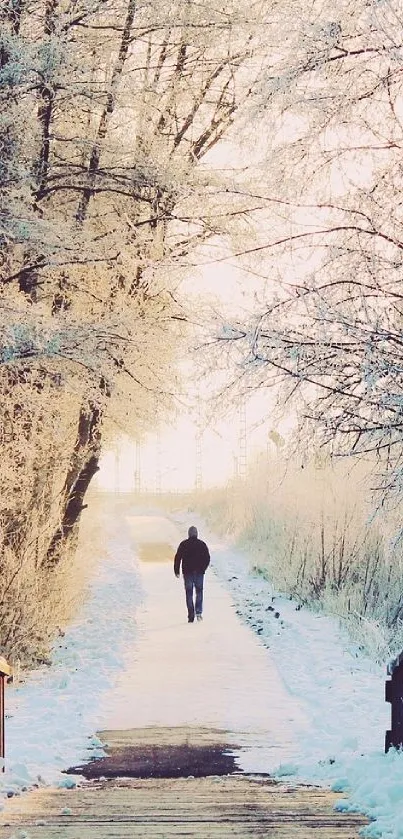 A solitary figure walks along a frosty forest path in winter.