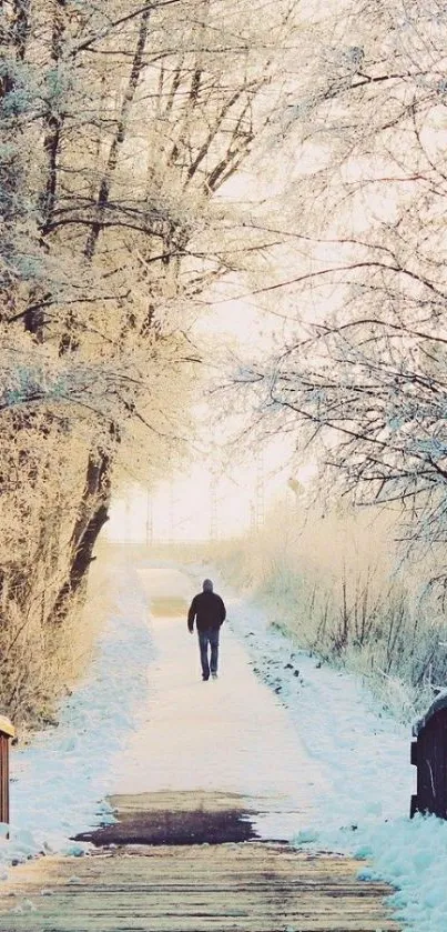 A serene winter path with frosty trees and snow.