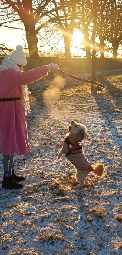 Person and dog playing in winter sunset with snow on the ground.