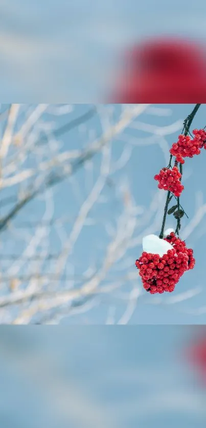 Red berries covered in snow against a tranquil blue winter background.