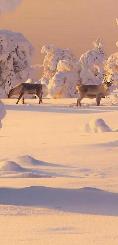 Reindeer wandering in a snowy pastel forest.