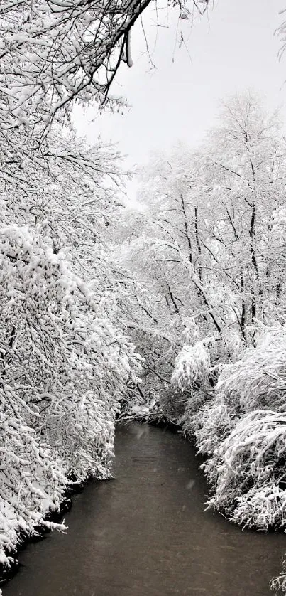 Serene winter river with snow-covered trees.