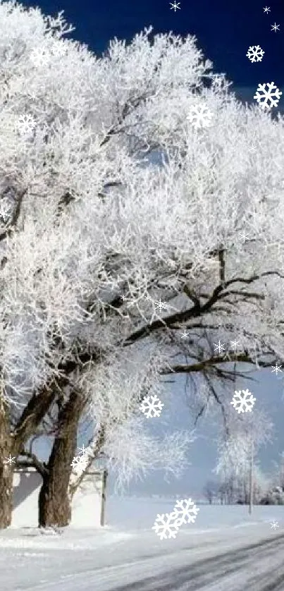 Snowy tree by a road under deep blue sky in winter