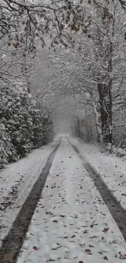 Snow-covered road through a winter forest with leafless trees.