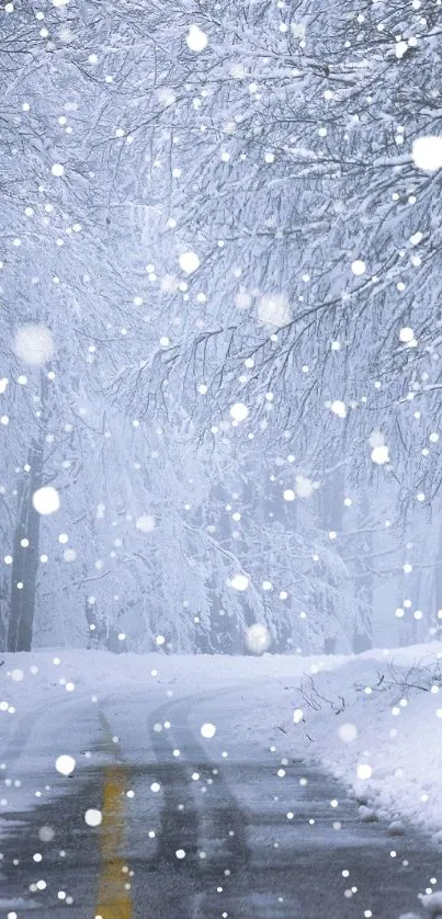 Snow-covered road through a winter forest, creating a serene and frosty scene.