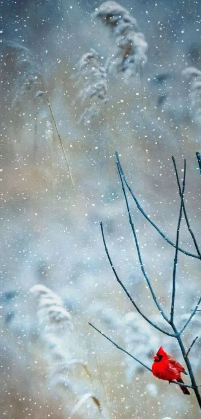 Red cardinal in snowy winter landscape.