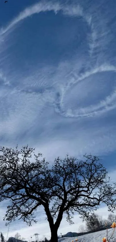 Tree silhouette with clouds in the blue sky scene.