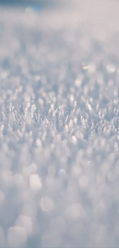 Close-up macro view of snow and frost under blue light.
