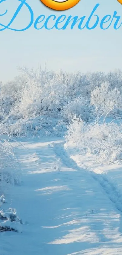 Winter Snow Precipitation Live Wallpaper