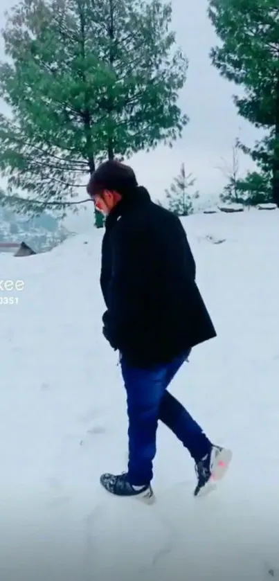 Person walking through snowy landscape with tall evergreen trees.