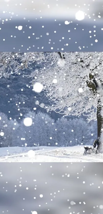 Tranquil snowy landscape with tree and snowfall.