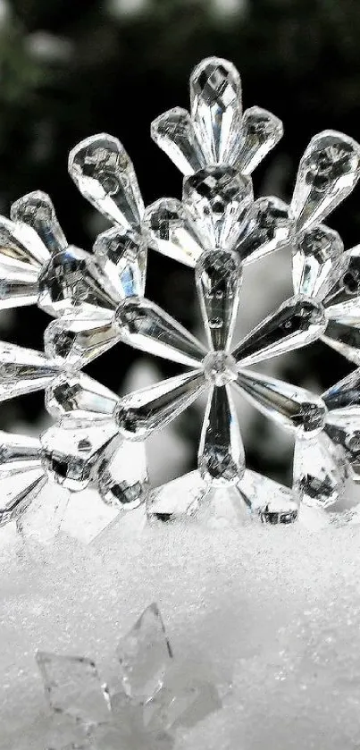 Intricate snowflake design in a wintry setting for mobile wallpaper.