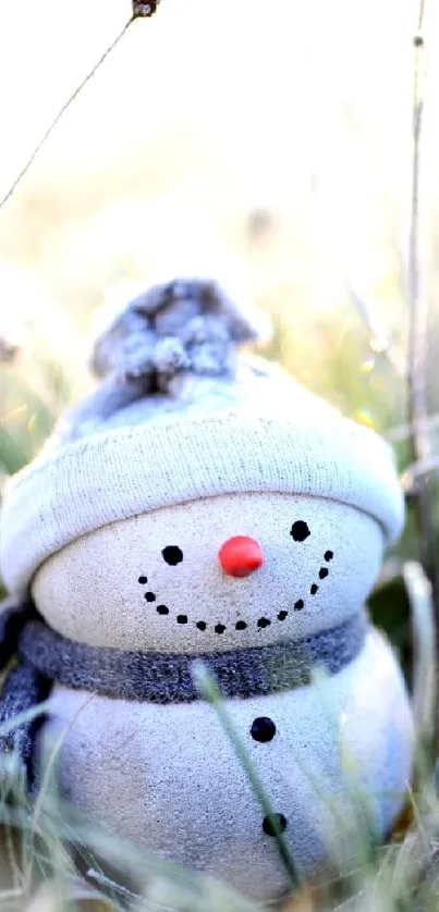 Snowman surrounded by frosty plants in a winter field.