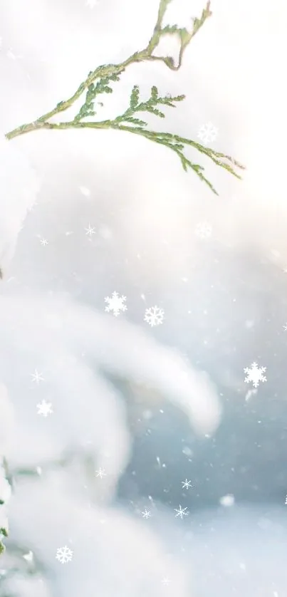 Snow-covered branches with soft snowfall in a serene winter landscape.