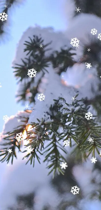 Snow-covered pine branch with falling snowflakes.