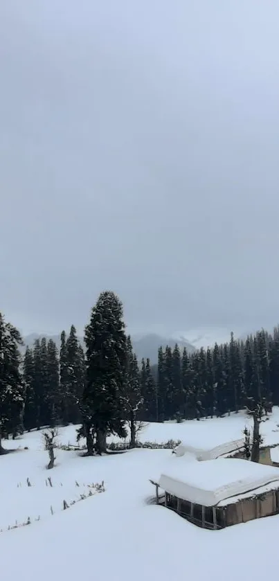 Serene snowy forest with cabin under gray skies.