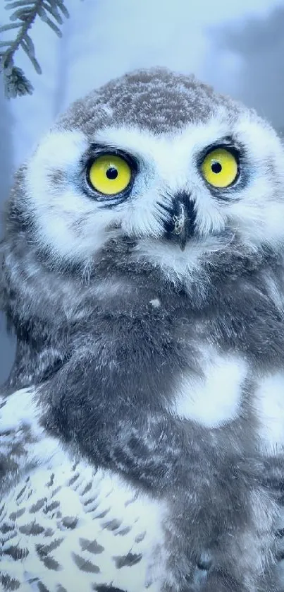 Snowy owl perched in a frosty blue winter landscape with yellow eyes.