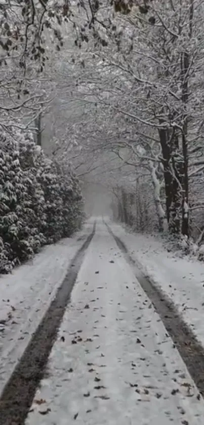 Serene snow-covered path through a winter forest.