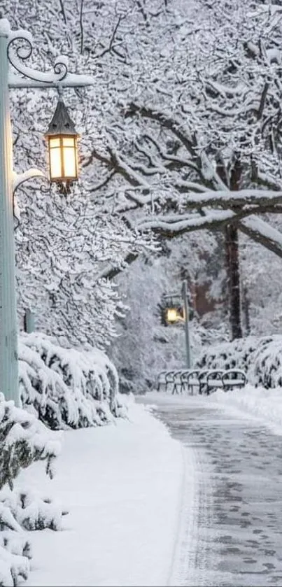 Snowy winter path with street lamp lighting the way.