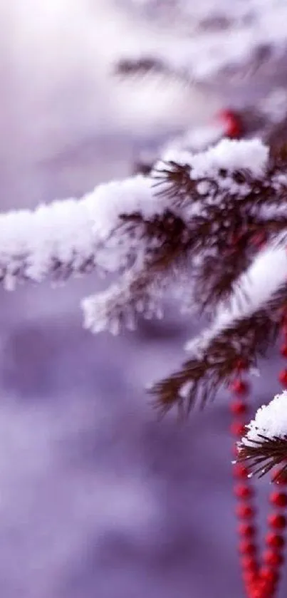 Snowy pine branch with red beads, winter aesthetic.