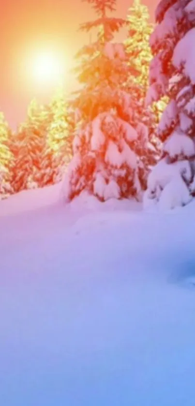 A beautiful winter sunrise over snowy trees.