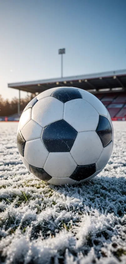 Soccer ball on a frosty field with a stadium in the background.