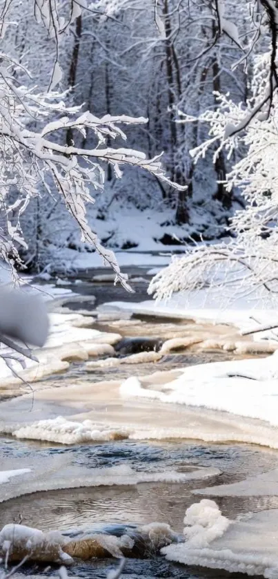 Snow-covered stream in serene winter forest.