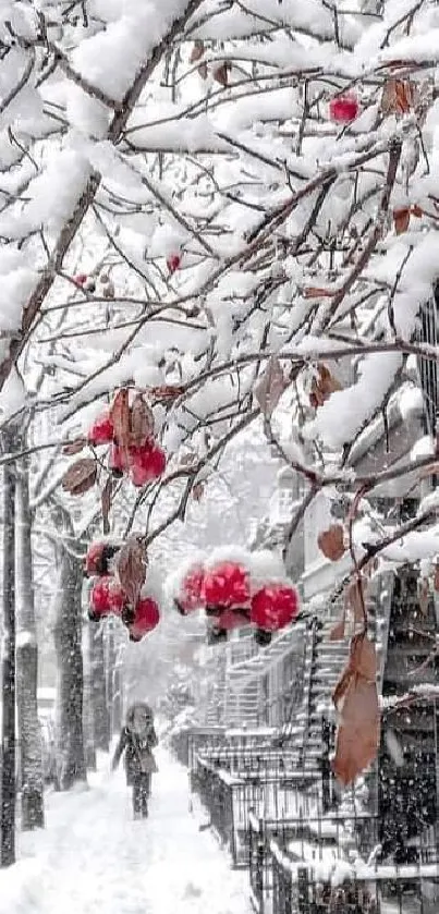 Winter scene with snow-covered branches and red berries on a city street.