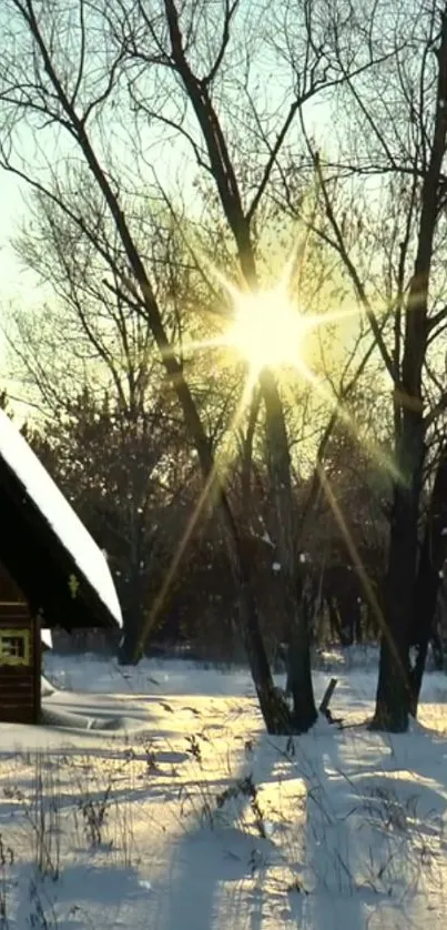 Winter sunrise with cabin in snow-covered woods.