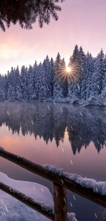 Winter sunrise over snowy forest and lake reflection wallpaper.