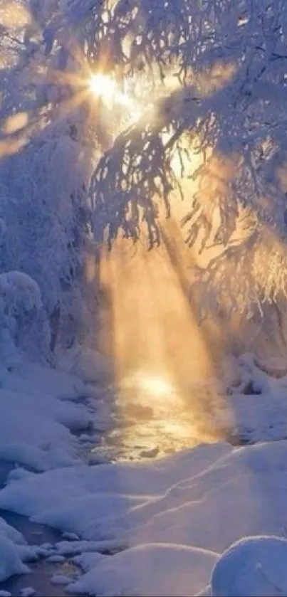 Sunrise over snow-covered winter forest, creating a peaceful and enchanting scene.