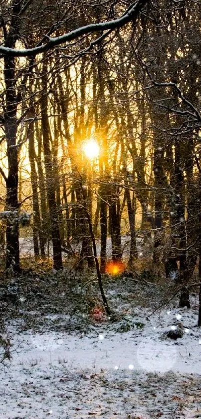 Snowy forest with golden sunrise casting light through trees.