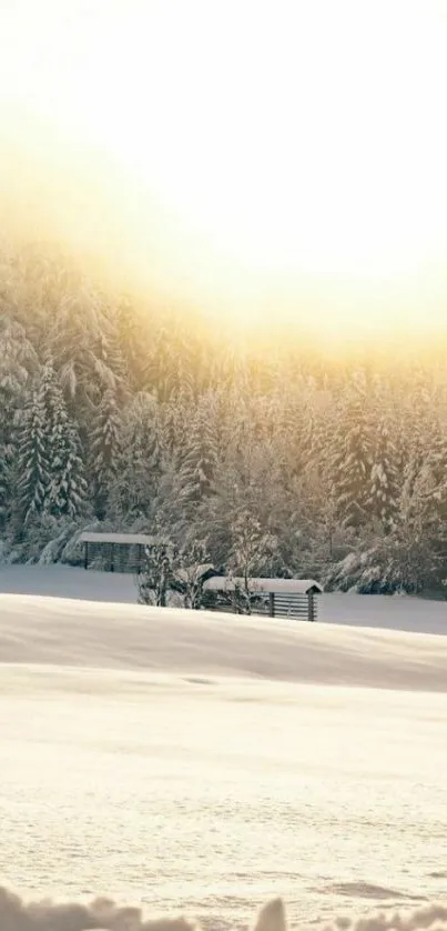 A serene winter sunrise over a snowy forest landscape.