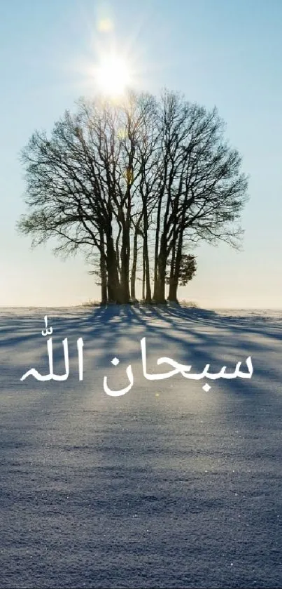 Sunlit winter scene with Islamic calligraphy over snowy landscape.