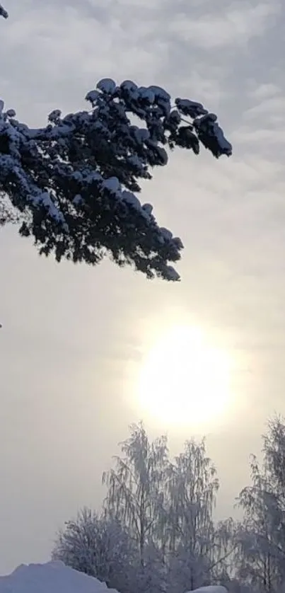 Snowy winter landscape with a sunrise.