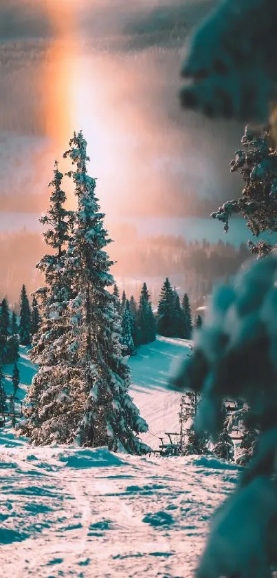 Snowy forest with a glowing sunrise over mountains in winter.