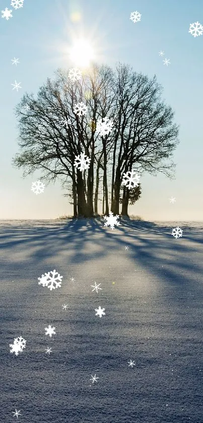 Winter sunrise over a snowy field and solitary tree.