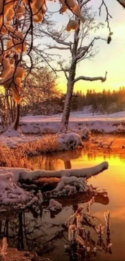 Winter sunrise with snow and lake reflection.