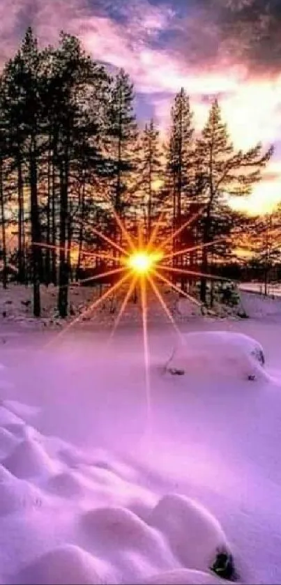 Winter sunrise over snowy trees with vibrant sun.